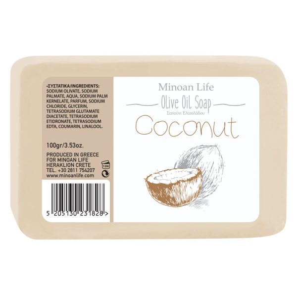 ΣΑΠΟΥΝΙ ΚΑΡΥΔΑ ART 100gr/ ΣΥΣΚ24