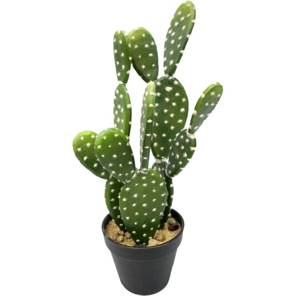 ΦΥΤΟ ΚΑΚΤΟΣ ΤΕΧΝΗΤΟ /42ΕΚ