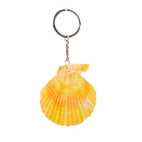 ΜΠΡΕΛΟΚ ΜΕ ΜΠΟΥΚΑΛΑΚΙ ΚΑΙ ΚΟΧΥΛΙ /ΣΥΣΚ8