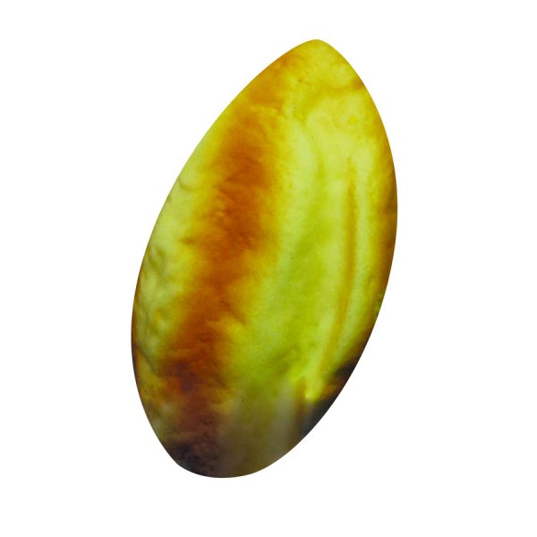 ΜΑΓΝΗΤΑΚΙ ΚΑΡΒΕΛΑΚΙ /ΣΥΣΚ12