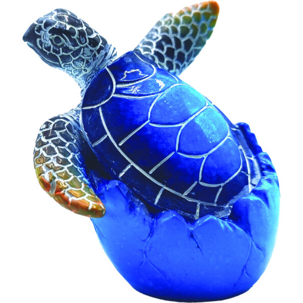 SOUVENIR TURTLE