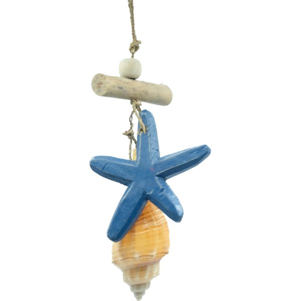 ΚΡΕΜΑΣΤΟ ΜΕ ΑΣΤΕΡΙΑ ΚΙΑ ΚΟΧΥΛΙ /ΣΥΣΚ5