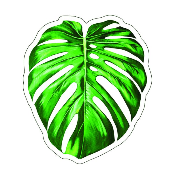 ΠΕΤΣΕΤΑ ΘΑΛΑΣ. ΤΡΟΠΙΚΟ ΦΥΛΛΟ ΦΤΕΡΗ