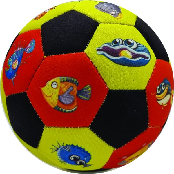 ΜΠΑΛΑ ΠΟΔΟΣΦΑΙΡΟΥ ΑΔΙΑΒΡΟΧΗ /ΣΥΣΚ6