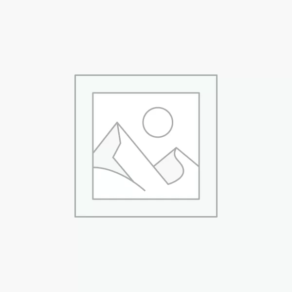 Δείκτης τοποθέτησης